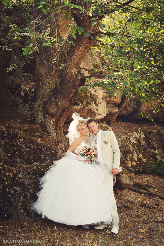 ���� ���� �������