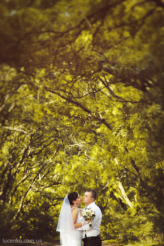 ���� ���� �������