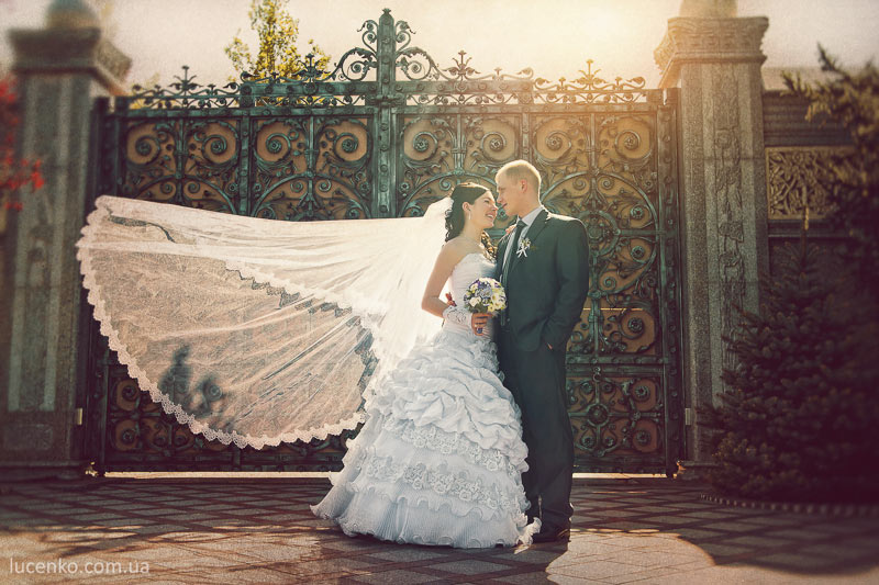 ���� ���� �������