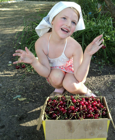 ���-�� ������� ������, � ���-�� ��� ���;-)