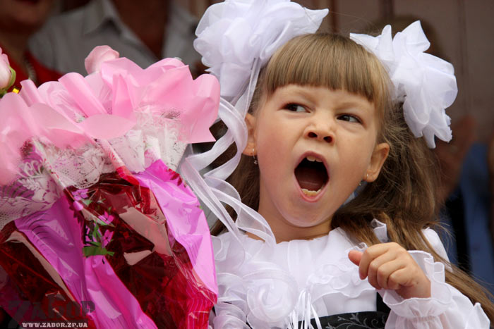 ����������� ������ (����� �95, ���������)