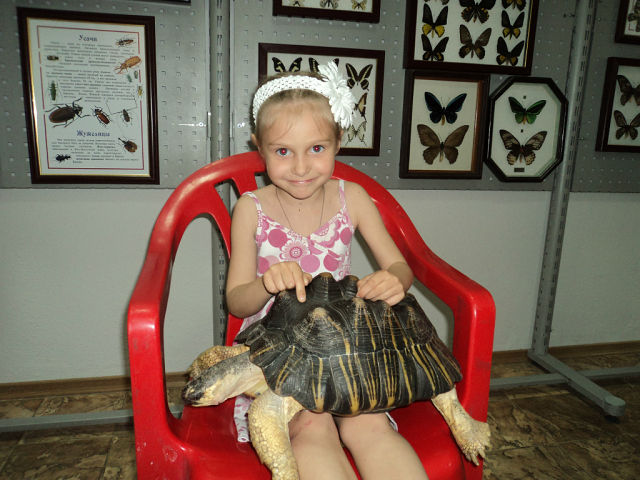 ���� � ������-�-�-� ��������