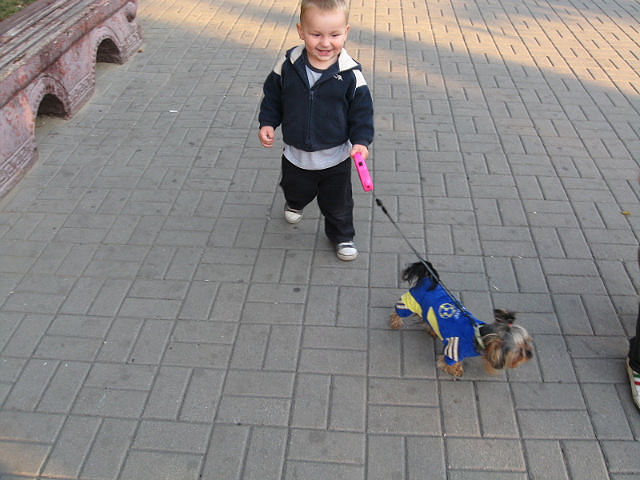 �������� � ������.