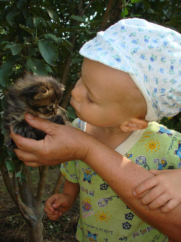 ��� ��������� �������.