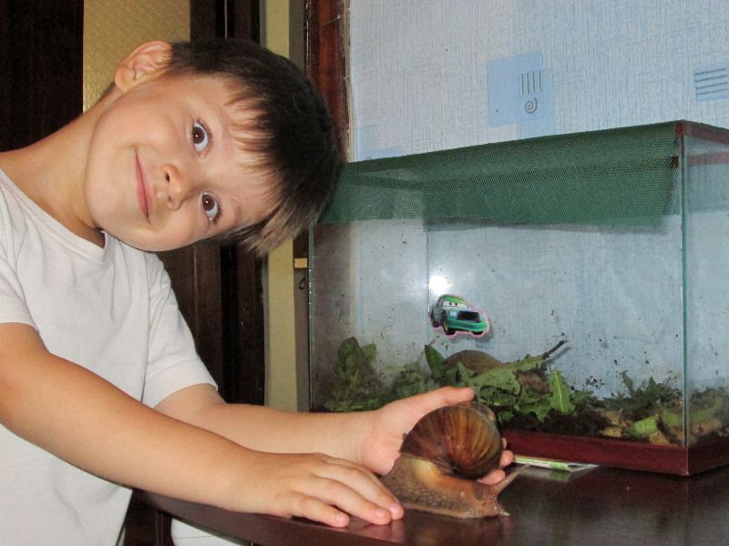 ������ � �������� ������� -������ ������� ˸�� � �����