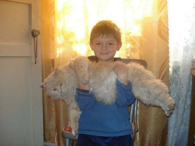 ��������� � ������