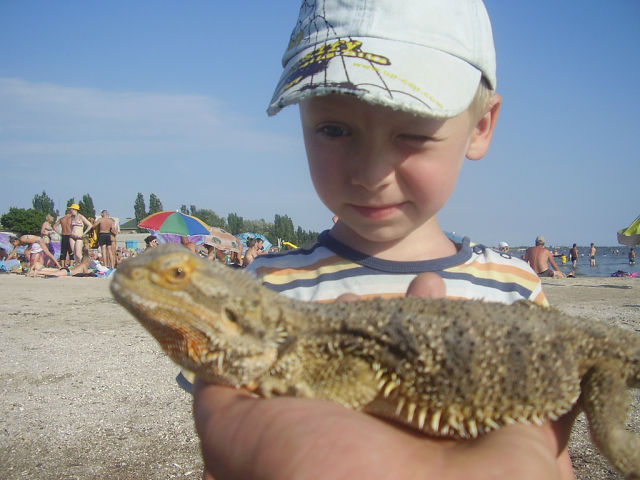 ������� �����������.