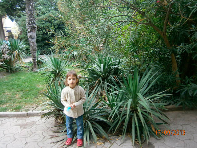 �� ������ � ��������� �����.