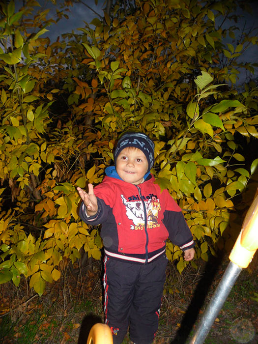 ���... ������� �������.