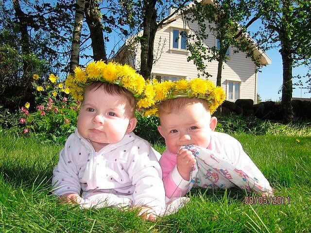 ��������� �������� � ������ ������� �� ��������.