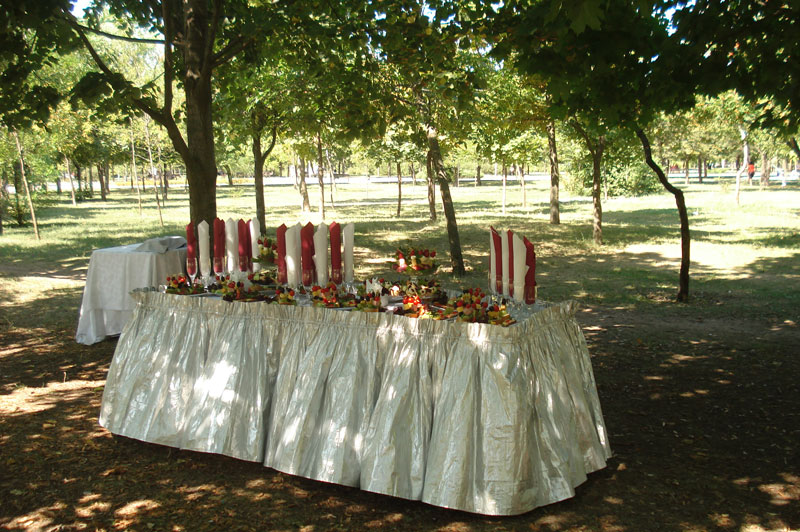 ���� ������ (���������)