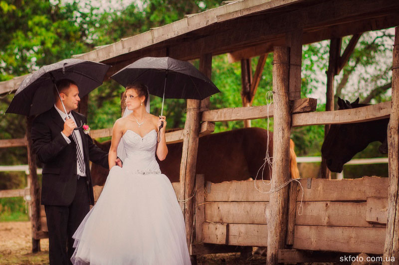 ���� ������ �������� � ������ �������� (���������)