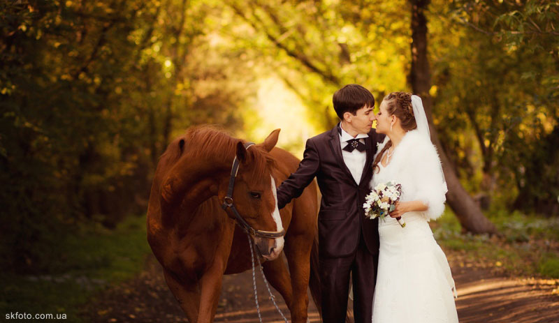 ���� ������ �������� � ������ �������� (���������)