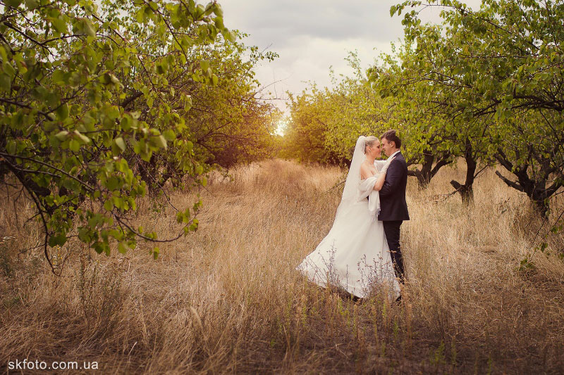 ���� ������ �������� � ������ �������� (���������)