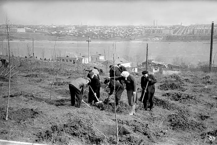 ������������� ������������� ��������������� (���������)