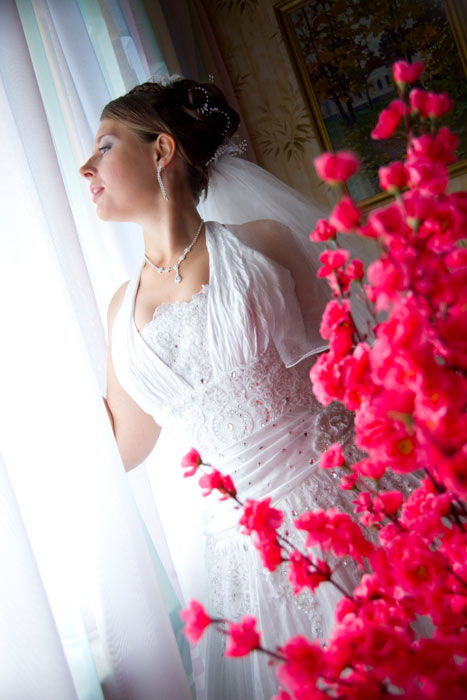 ���� ���������