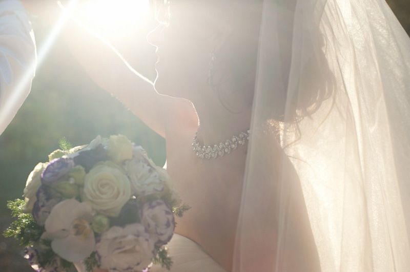 ��������� ����. ����� ������ (���������)