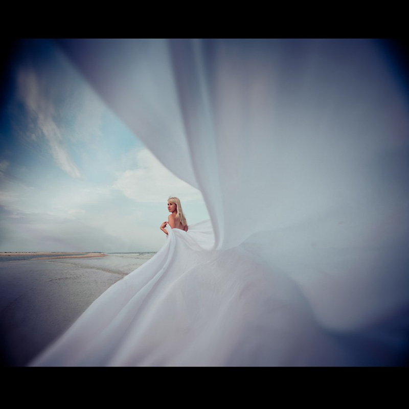 ��������� ����. ����� ������ (���������)