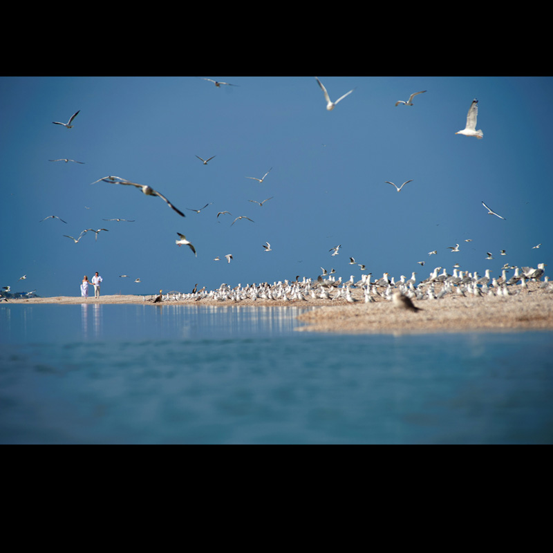 ������ ����� (��������) ���������