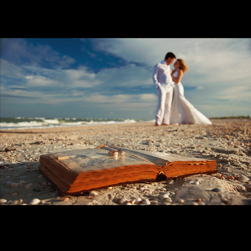 ������ ����� (��������) ���������