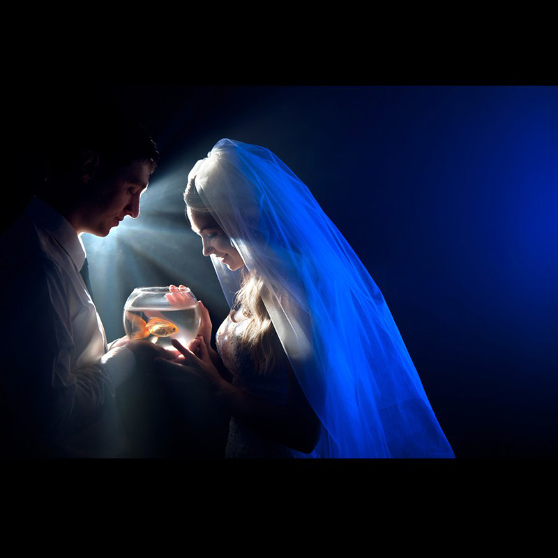 ������ ����� (��������) ���������