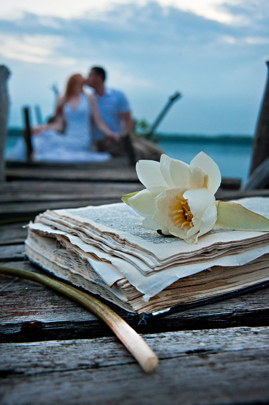 ������ ����� (��������) ���������