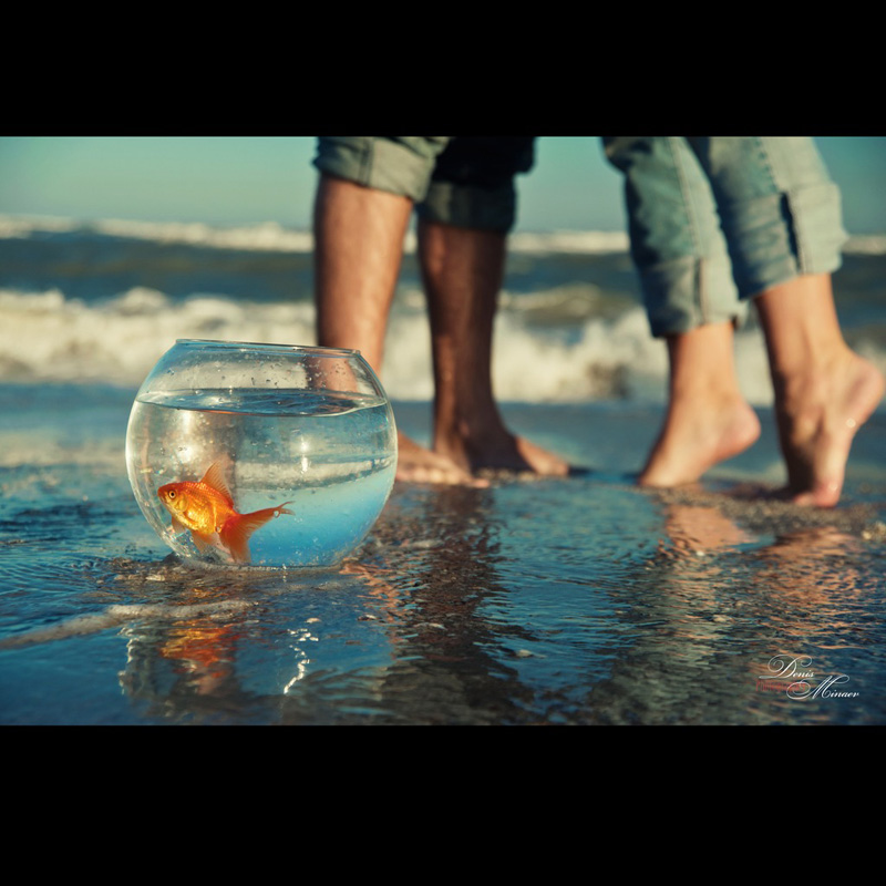 ������ ����� (��������) ���������