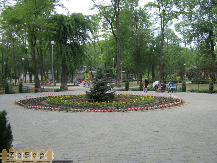 ���� �������� ���������