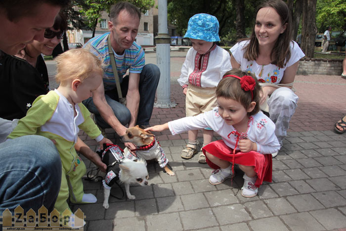 ����� ��������� � ���������