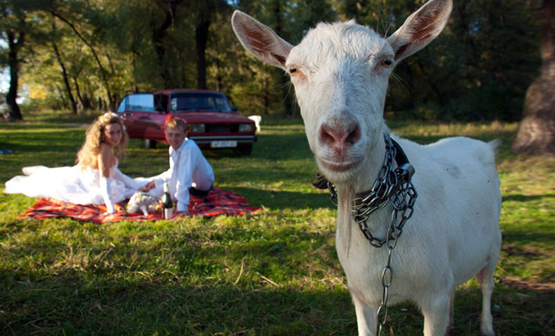 ������ "����". ����-����������� � ���������