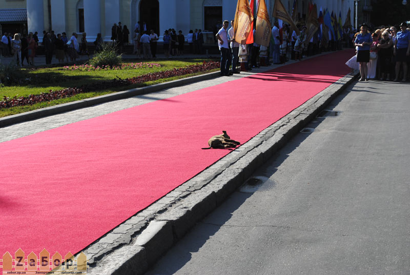 ������ �� ������� ������� � ���������