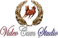 "VideoCam Studio" - "�������� ������" (�����, ����������) � ���������