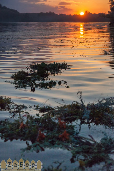 �������� ����� ������ �� ������� (���������)