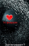 14 �������. ����������!