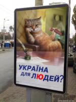 ������� ��� �����? - ���� �� ������� ���������