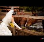 �������� ����� ����� (���������)