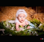 �������� ����� ����� (���������)