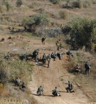 ������������� ������������ ���������