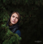 ������ �������� (�������� � ���������) � ���������