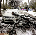 ������ ����� �� ������ � �������� "������" (���������)