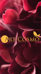 ������������ ������������ Art cosmo (���������)