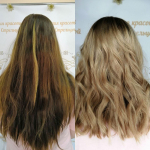 ����� ������� ����� �����������