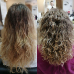 ����� ������� ����� �����������