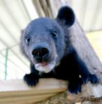 �����. ������� � ���������