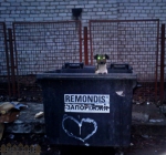 ������-���������!