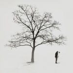 �������� ������� ������������ (���������)