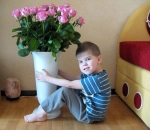 ������ ������