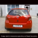 ���� - � �������!