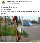 ���� 2017-2018. ������ ����� � ������� � ���������