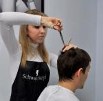 "�������� ����" (����� �������) � ���������